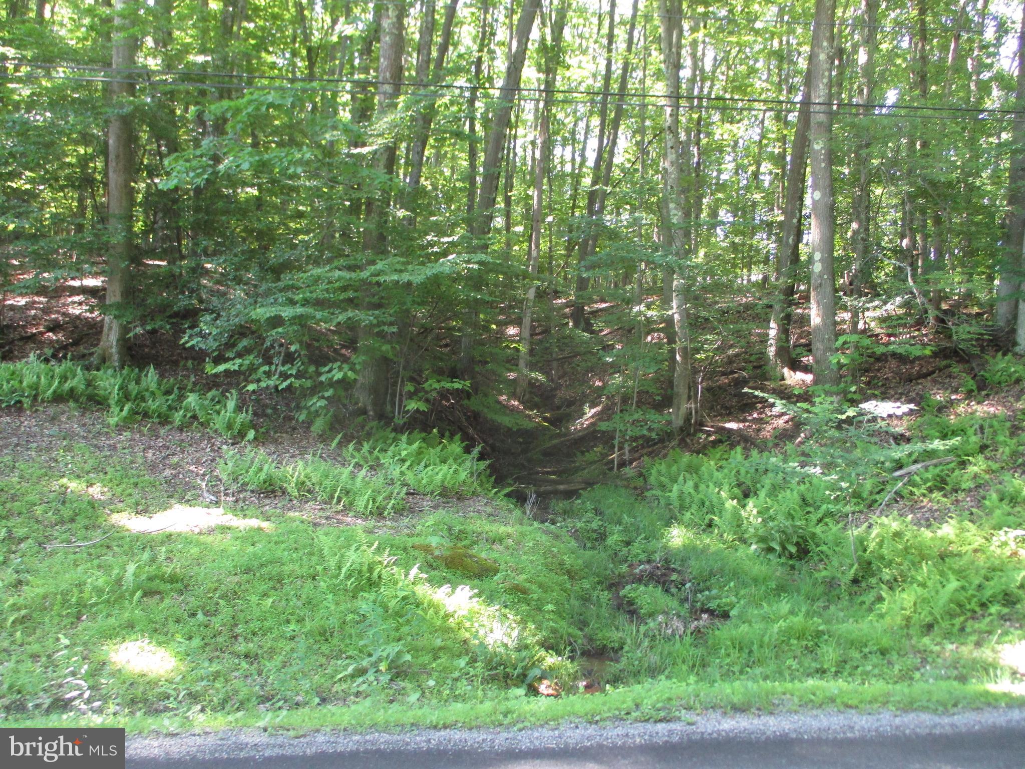 BETHLEHEM RD