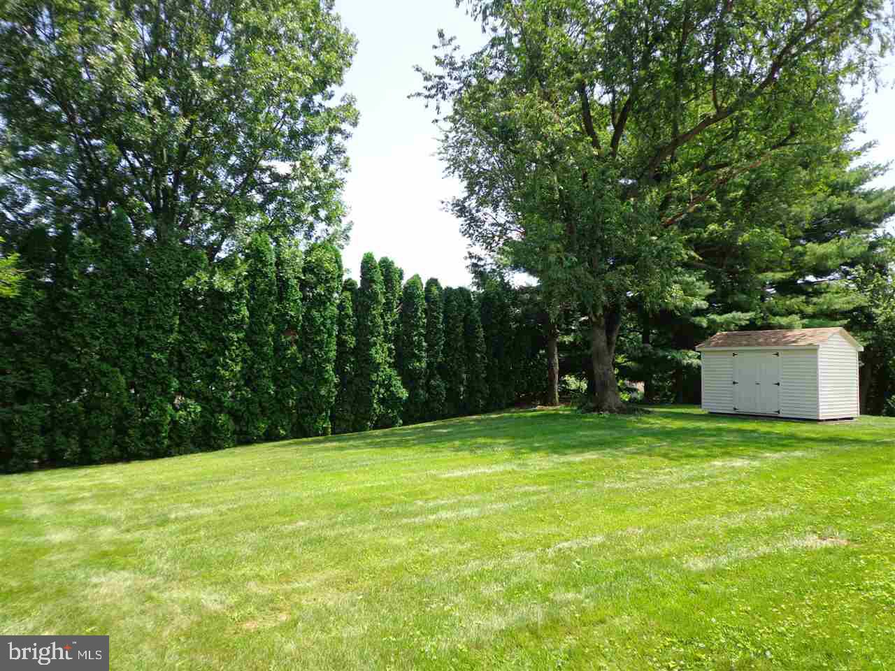 WASHINGTON SQUARE - Residential