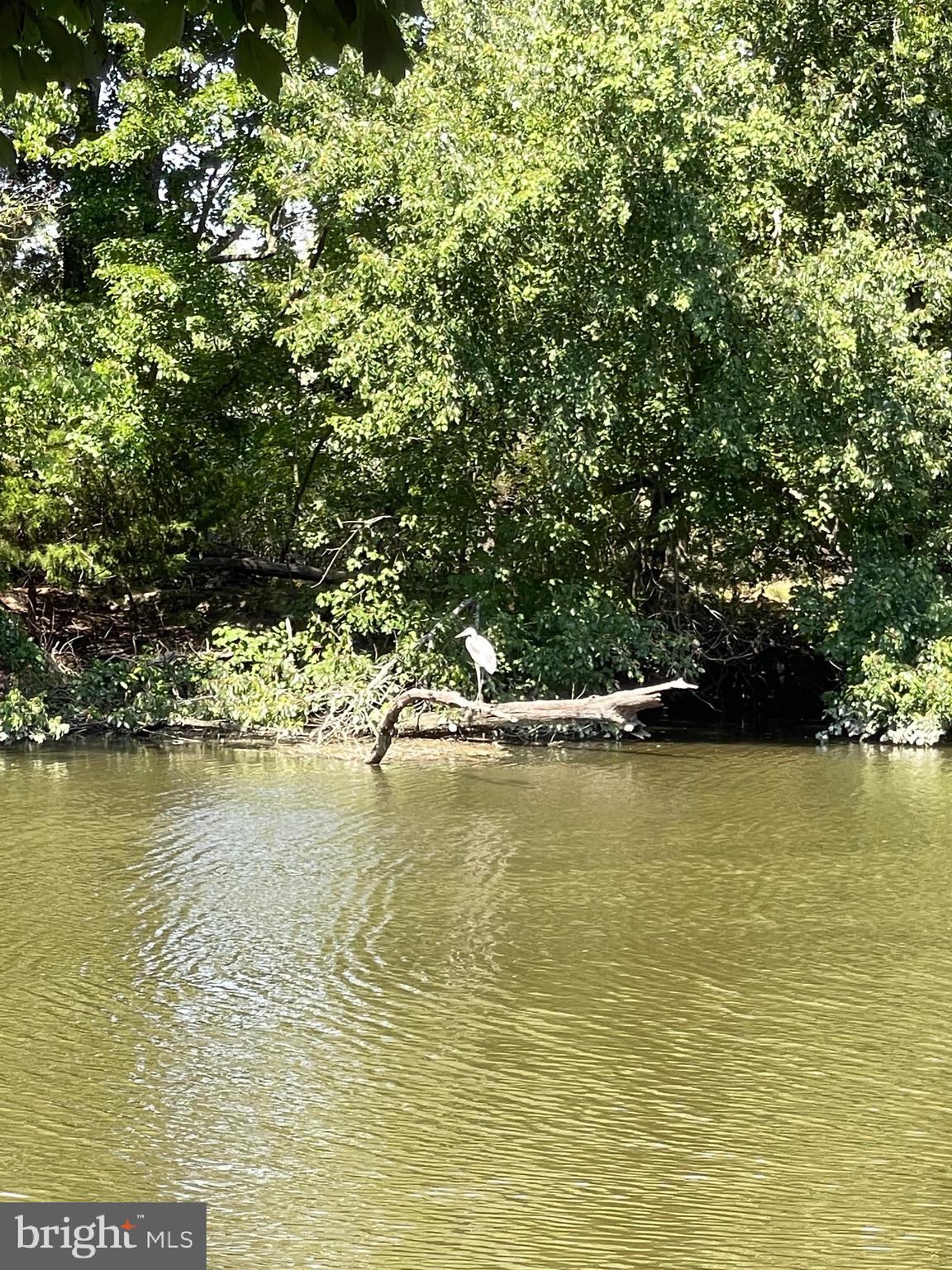 NONE AVAILABLE - Commercial Sale