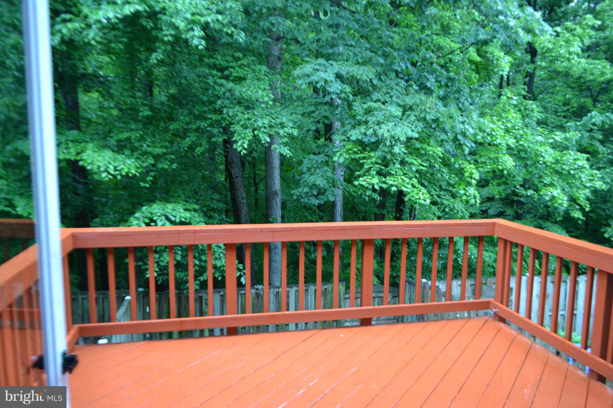 MONTCLAIR ST2 - Residential Lease