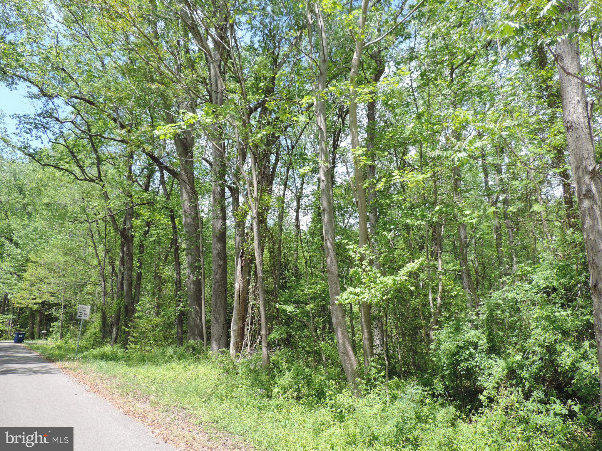 SUBSECTION OF HAYLEST JOHNSON - Land