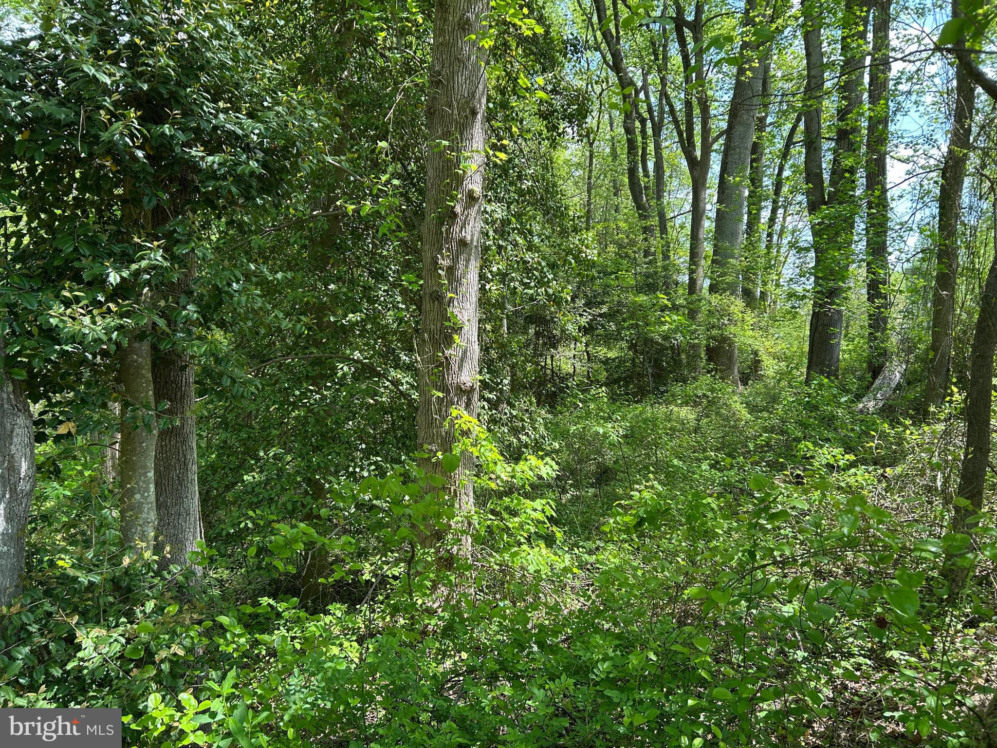 SUBSECTION OF HAYLEST JOHNSON - Land