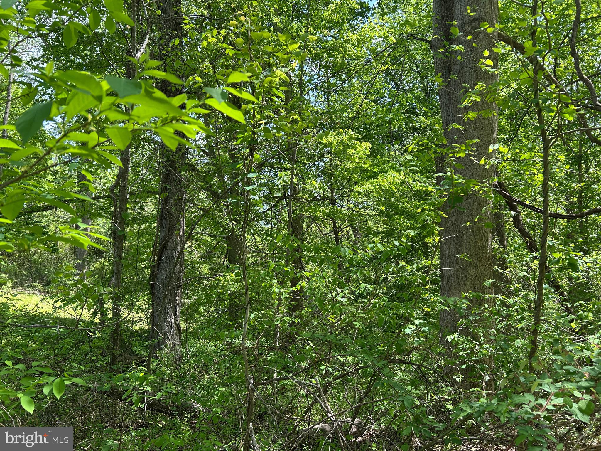 SUBSECTION OF HAYLEST JOHNSON - Land