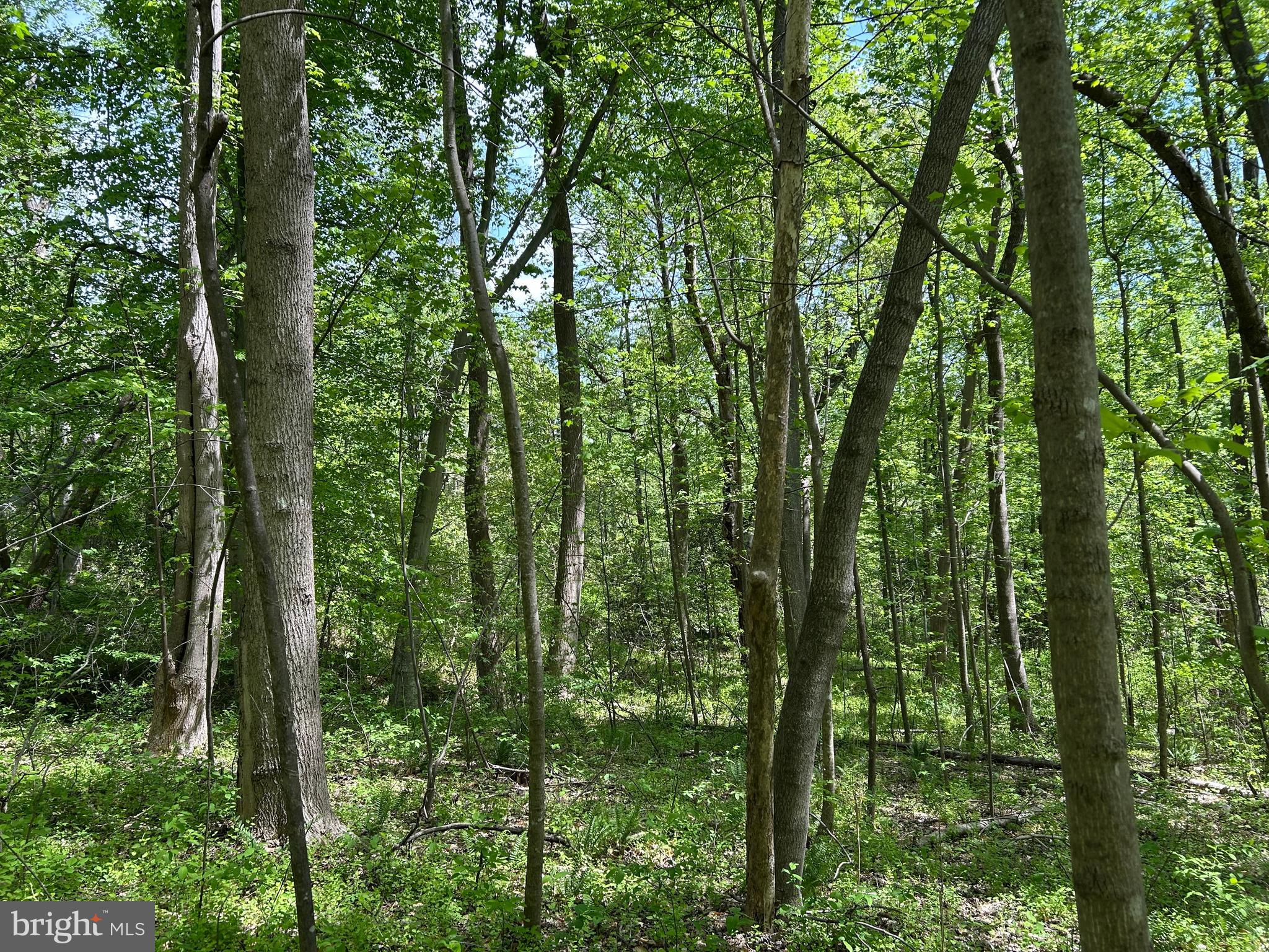 SUBSECTION OF HAYLEST JOHNSON - Land