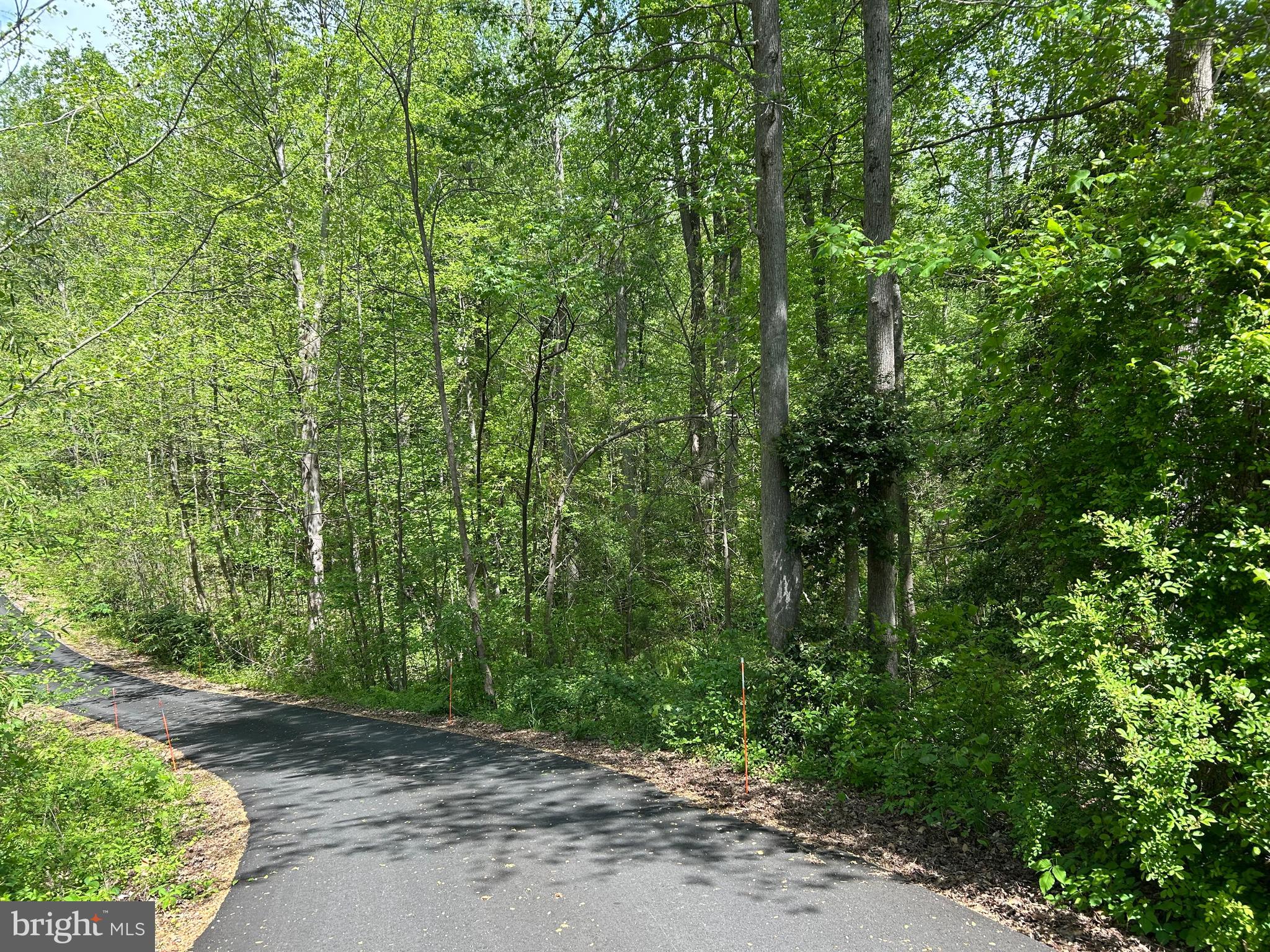 SUBSECTION OF HAYLEST JOHNSON - Land