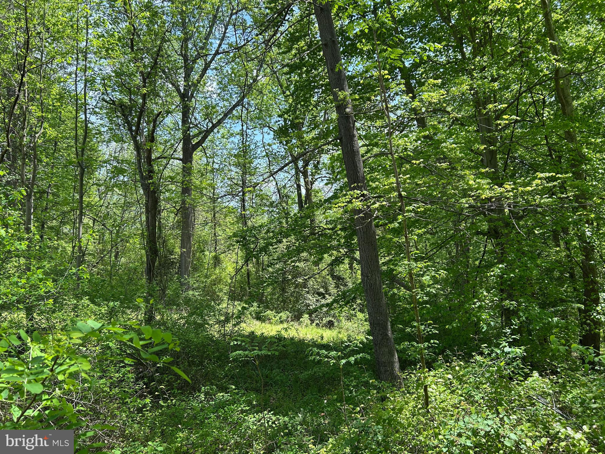 SUBSECTION OF HAYLEST JOHNSON - Land