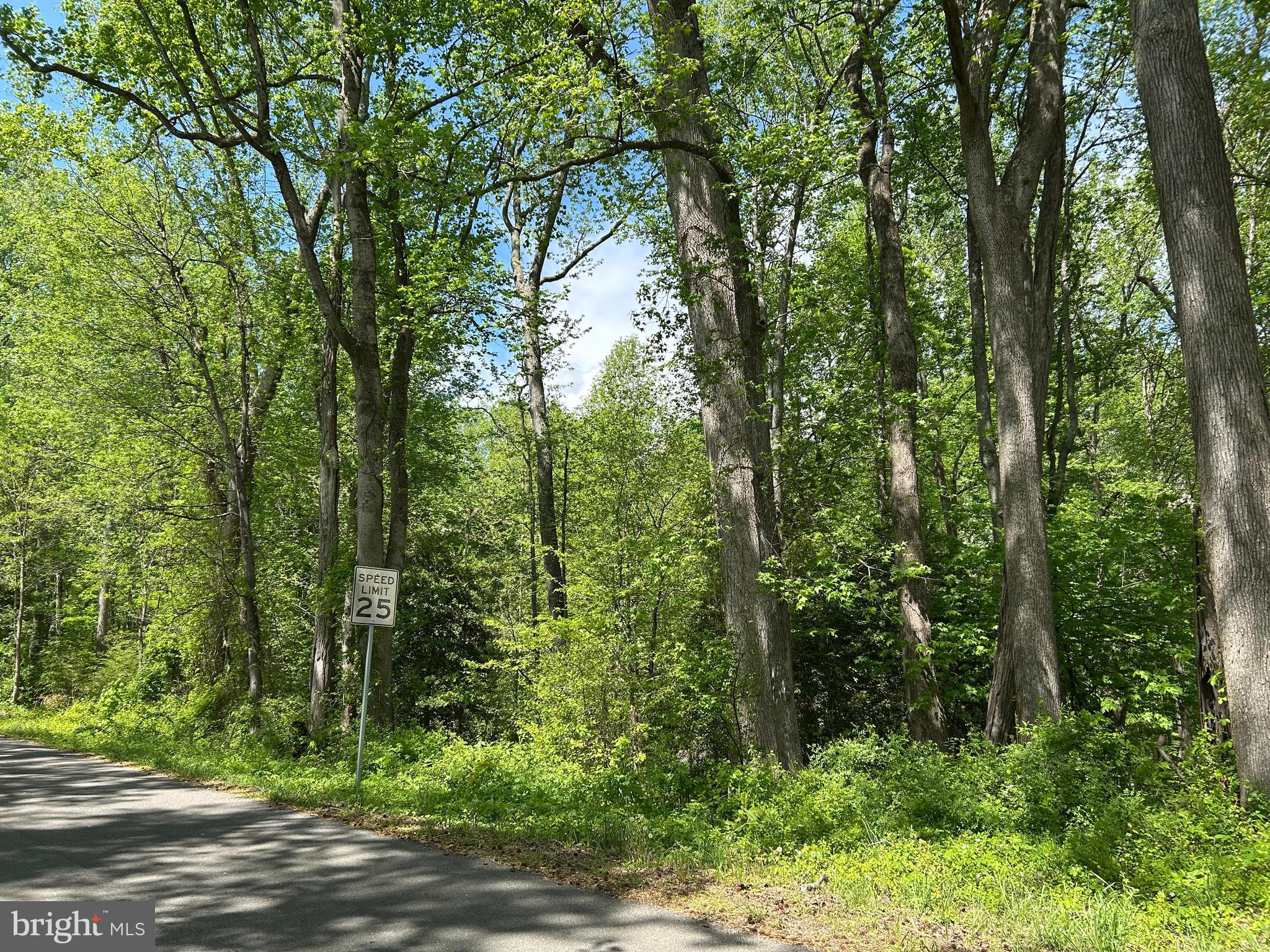 SUBSECTION OF HAYLEST JOHNSON - Land