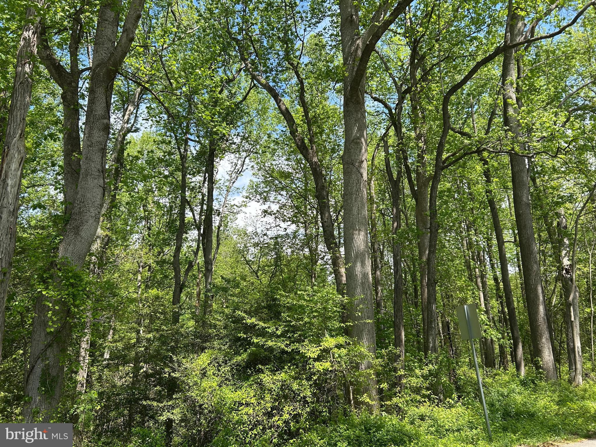 SUBSECTION OF HAYLEST JOHNSON - Land