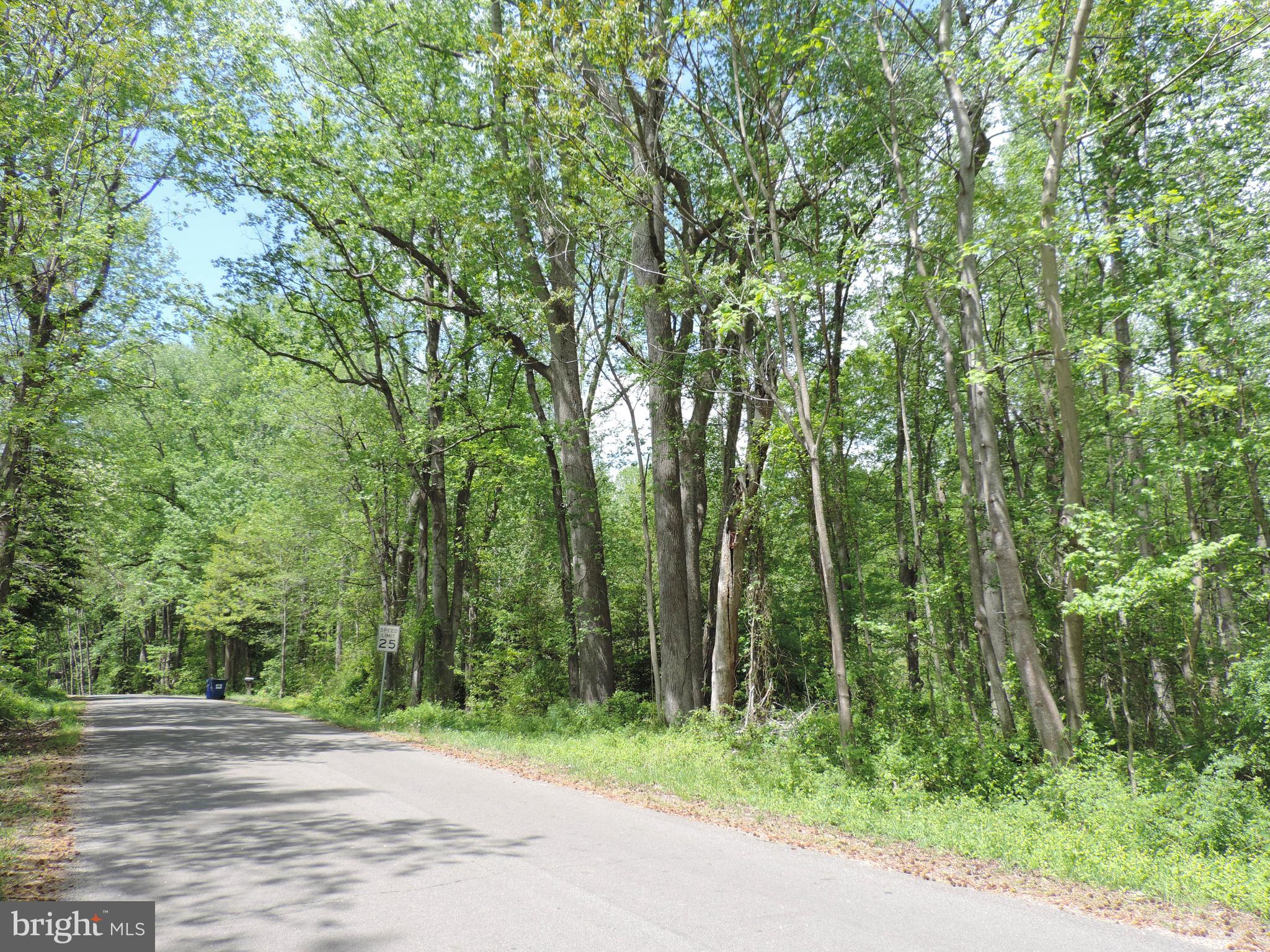 SUBSECTION OF HAYLEST JOHNSON - Land