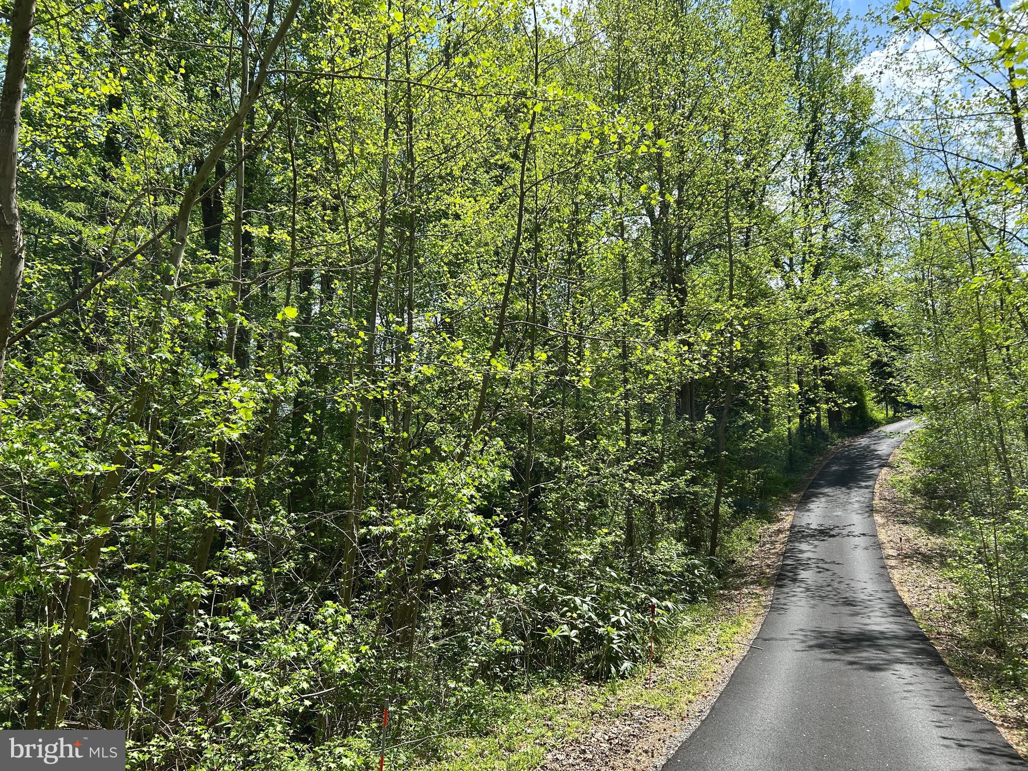 SUBSECTION OF HAYLEST JOHNSON - Land