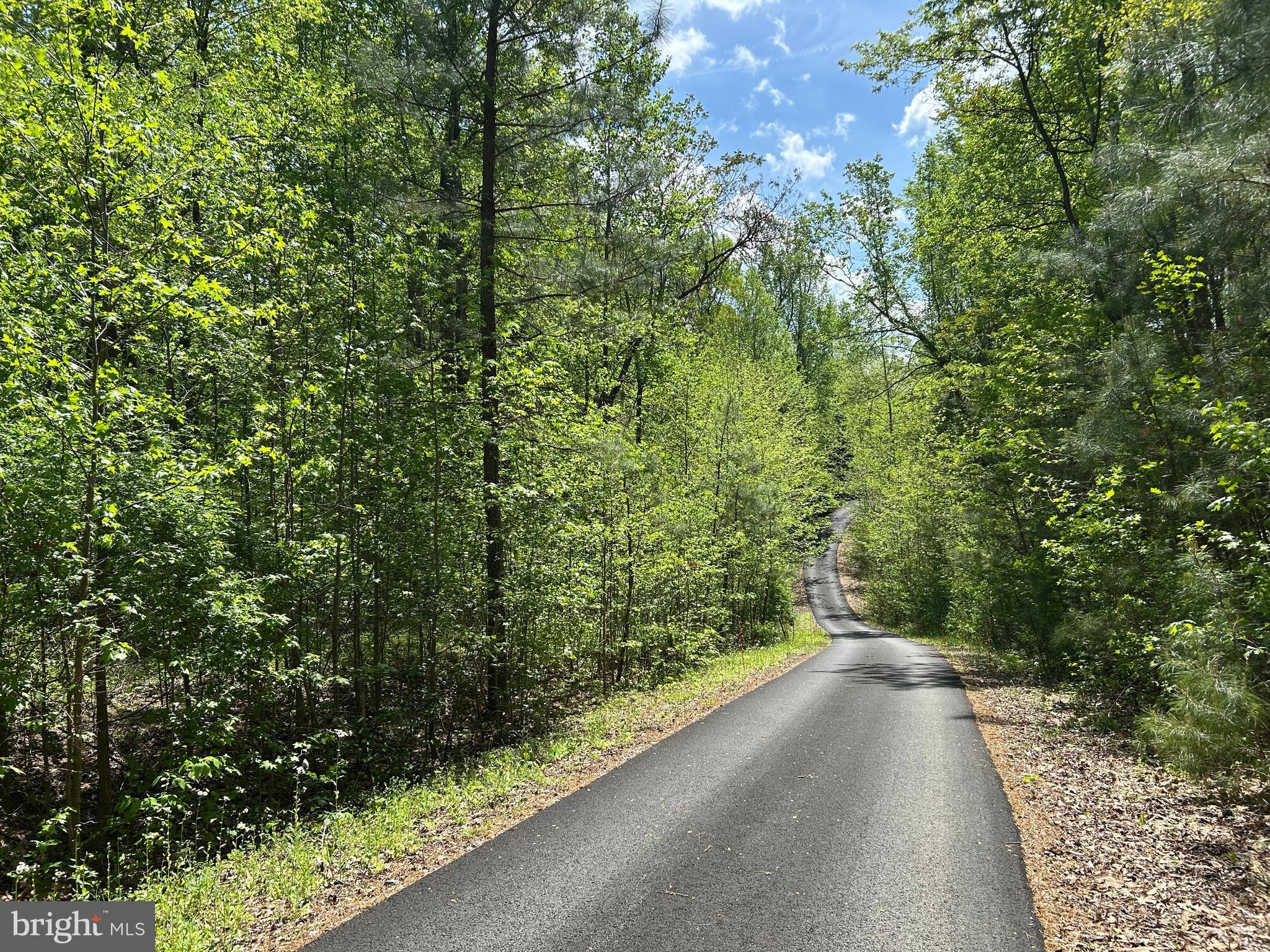 SUBSECTION OF HAYLEST JOHNSON - Land