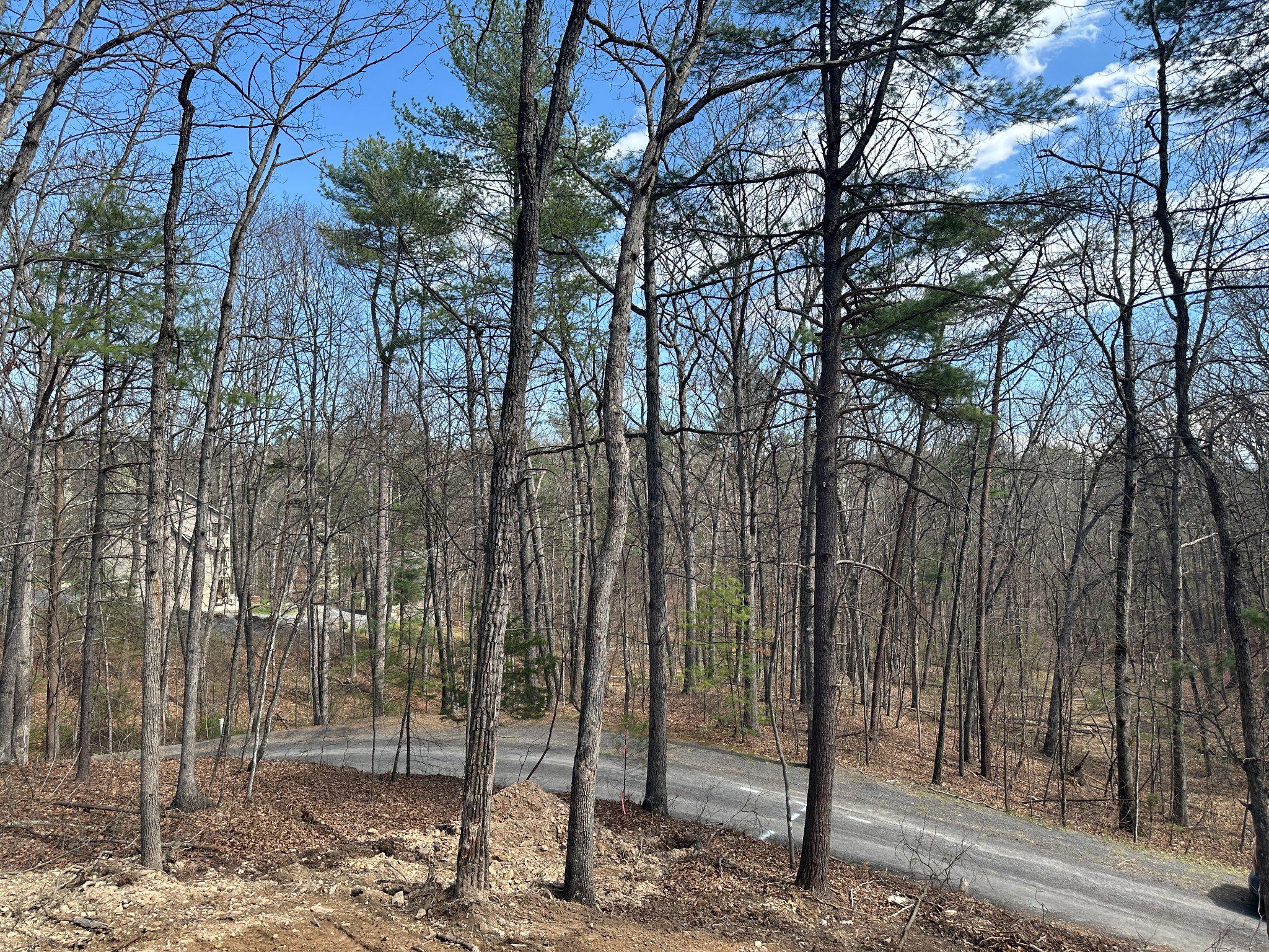 BRYCE MOUNTAIN - Residential