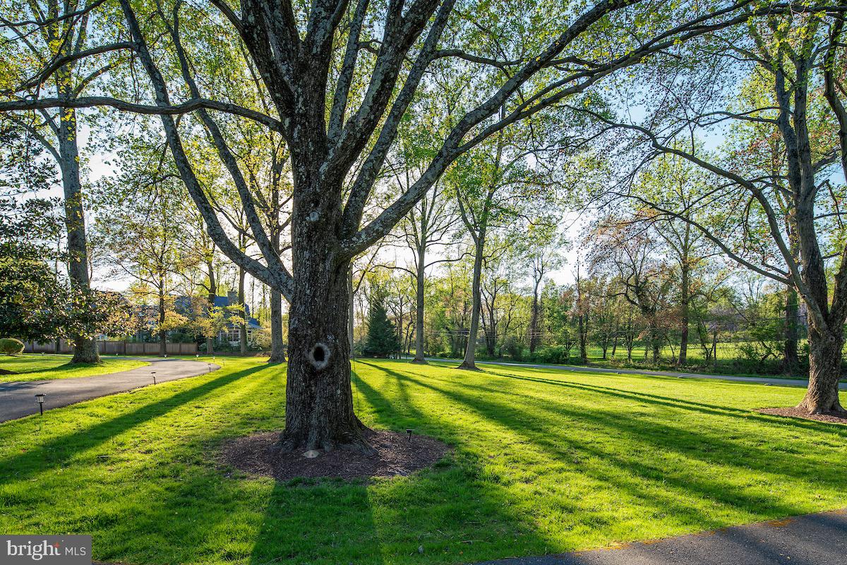 BRADLEY FARMS - Residential