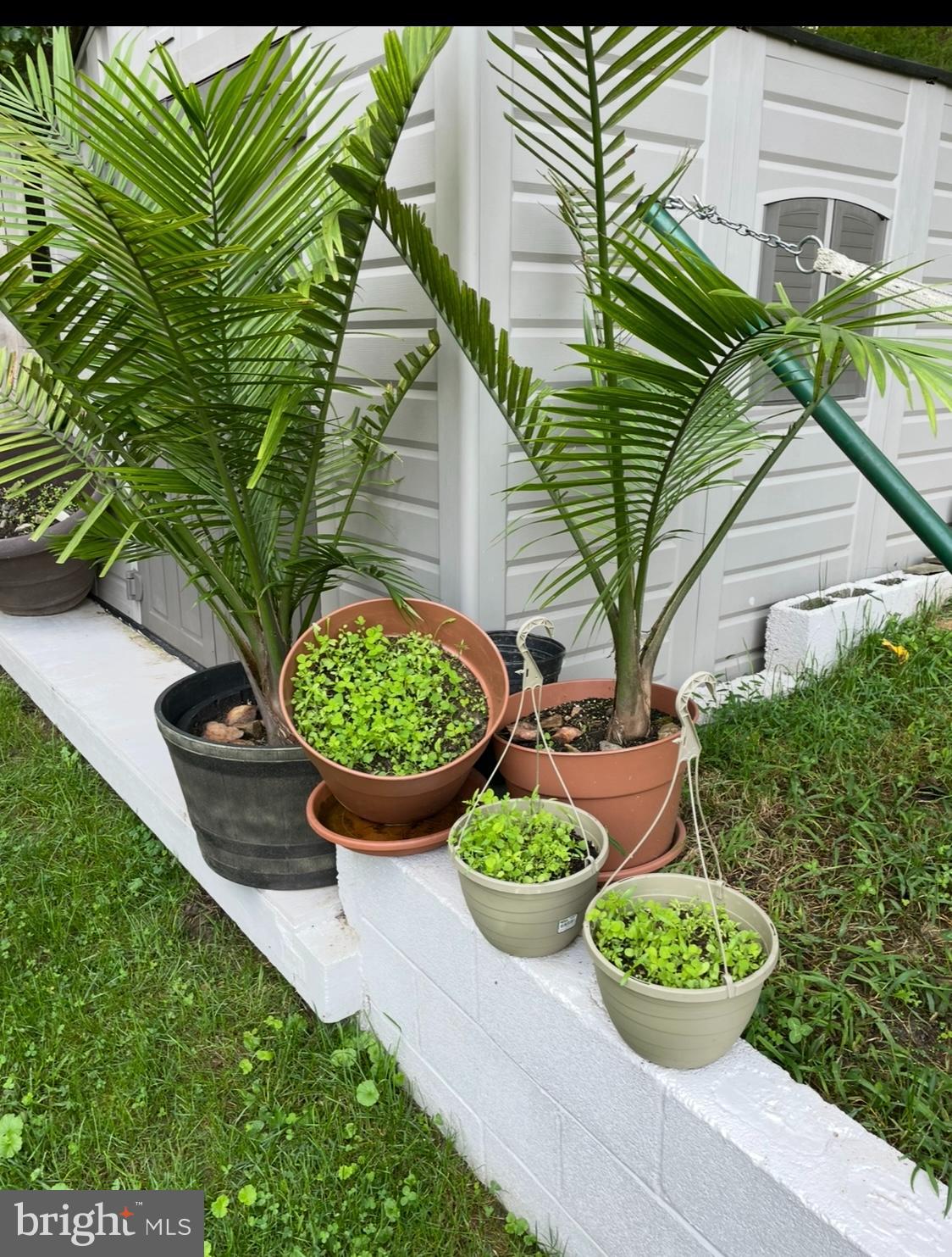 ROLLING STONE - Residential