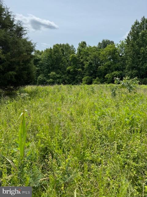 MATHIAS POINT - Land