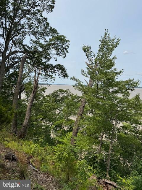 MATHIAS POINT - Land