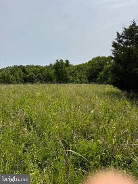 MATHIAS POINT - Land