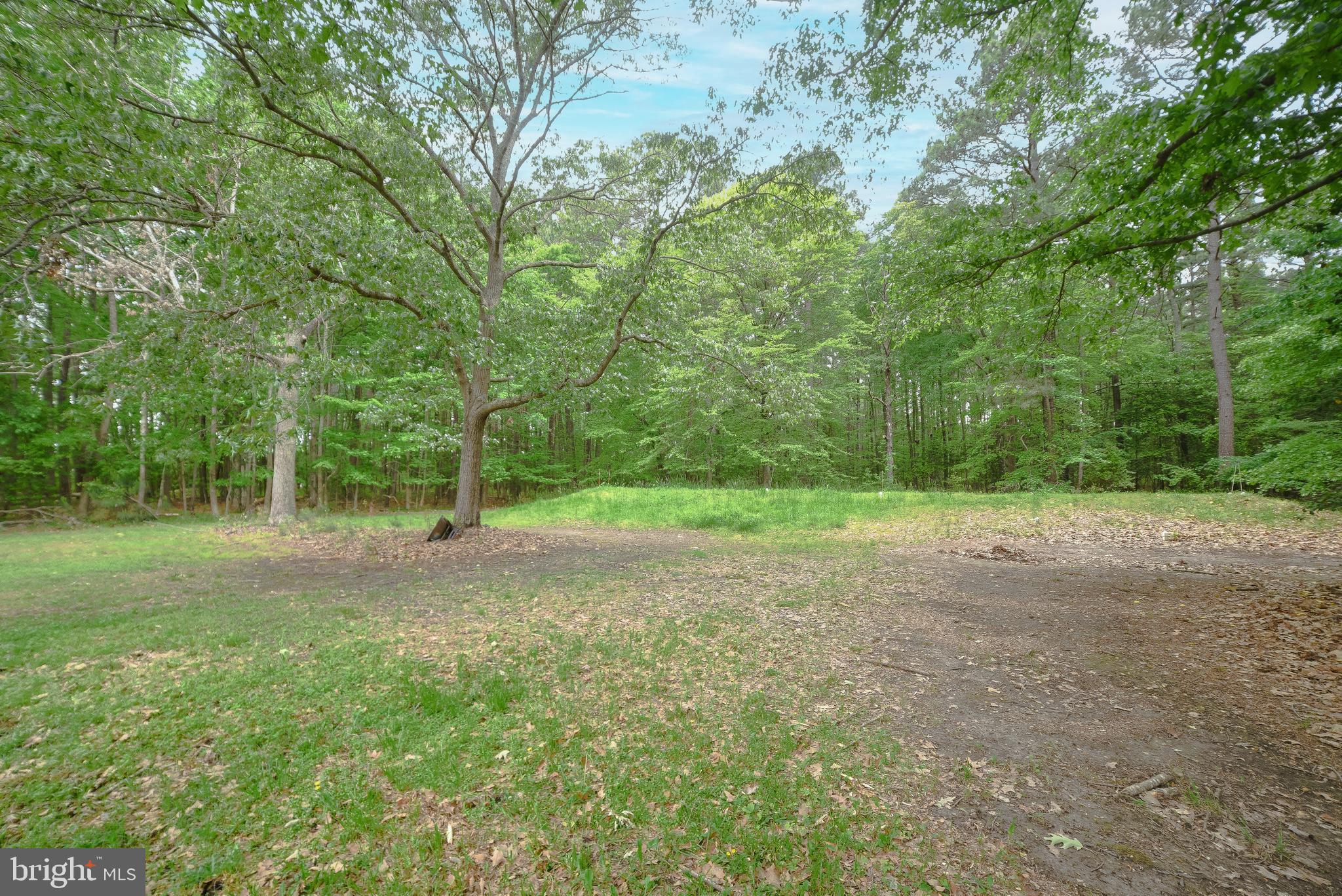 POINT BLACKISTONE - Residential