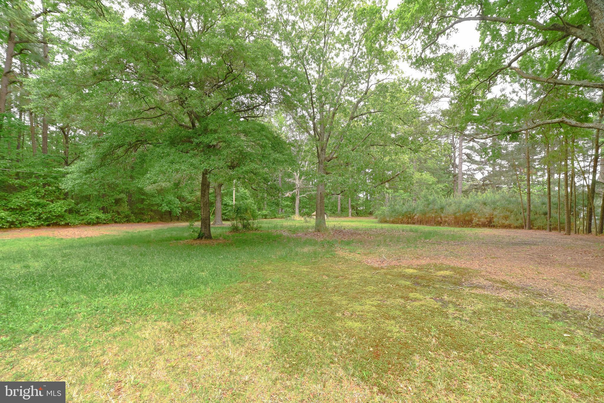 POINT BLACKISTONE - Residential