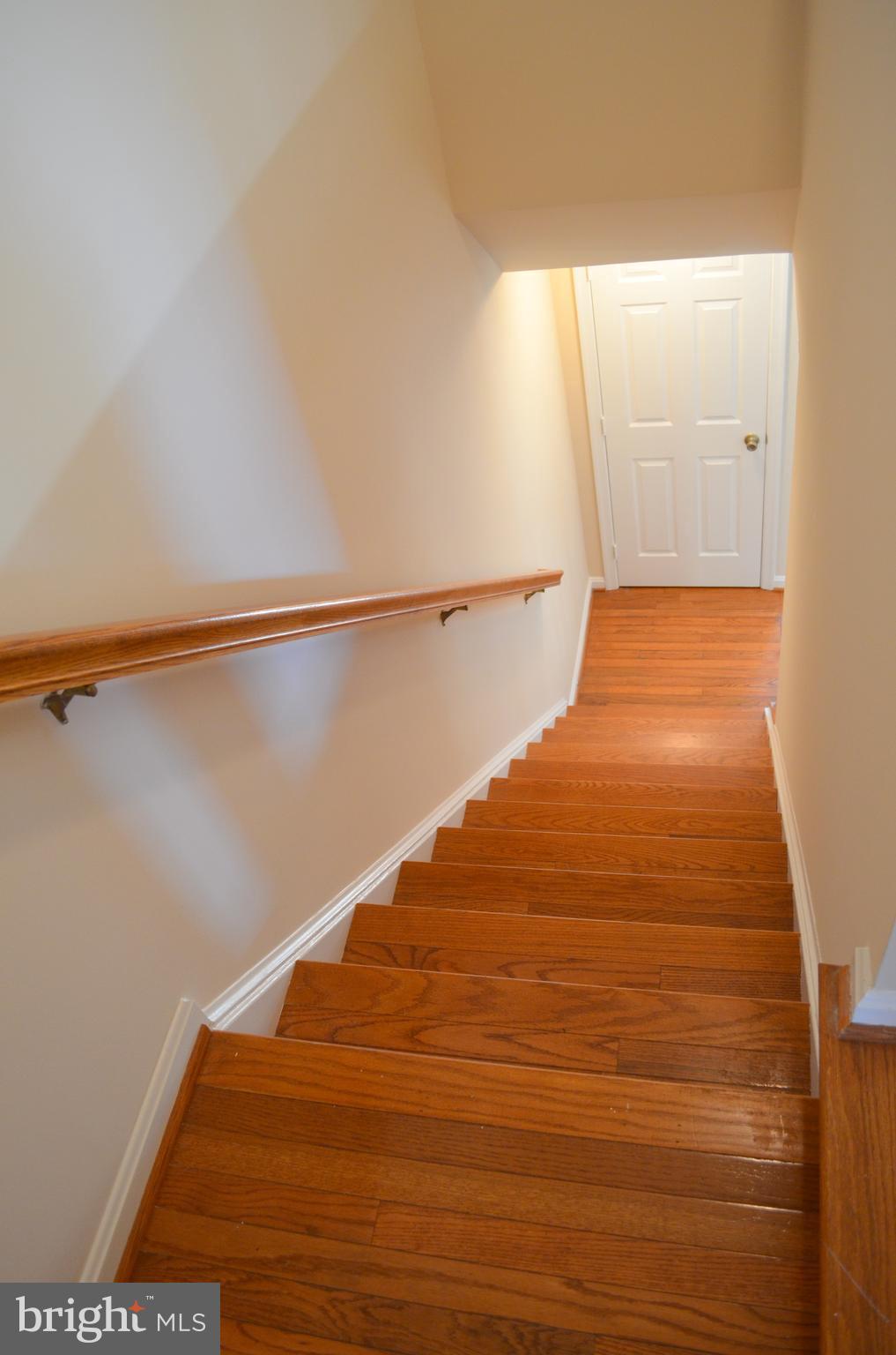 POTOMAC STATION - Residential Lease