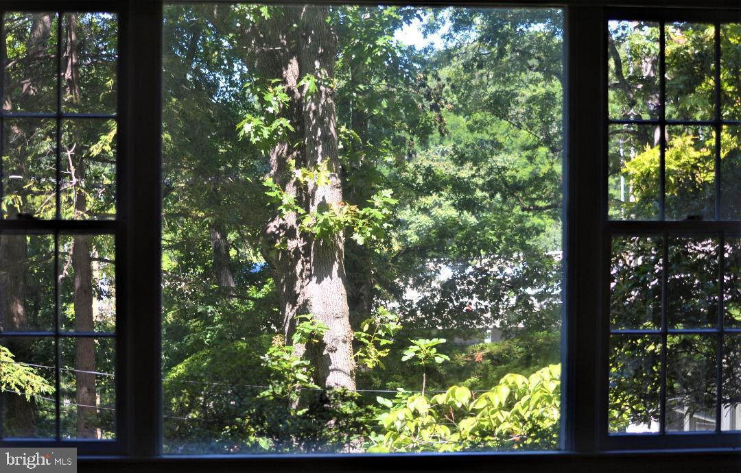 ARLINGTON - Residential Lease