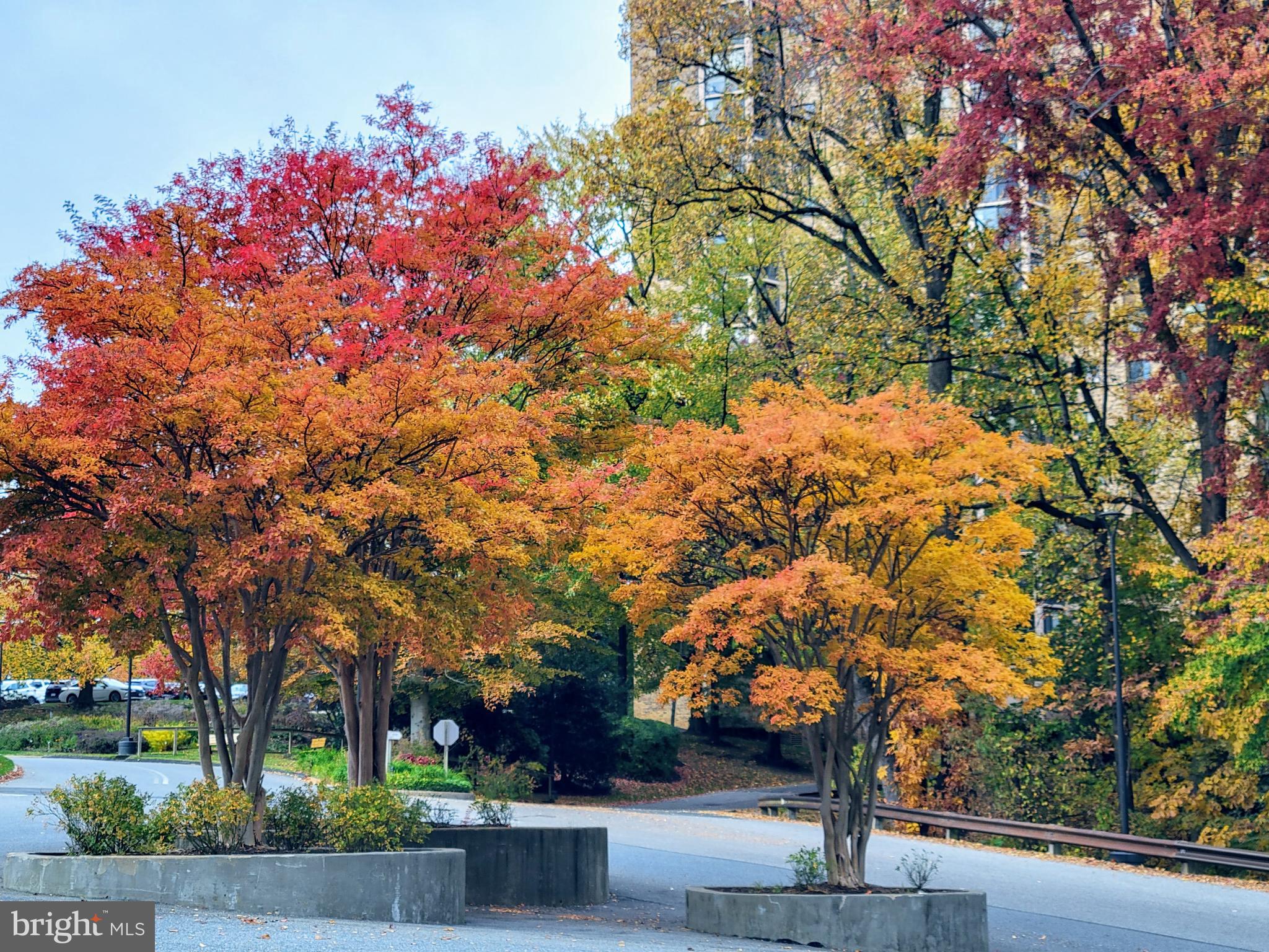 MONTEBELLO - Residential Lease