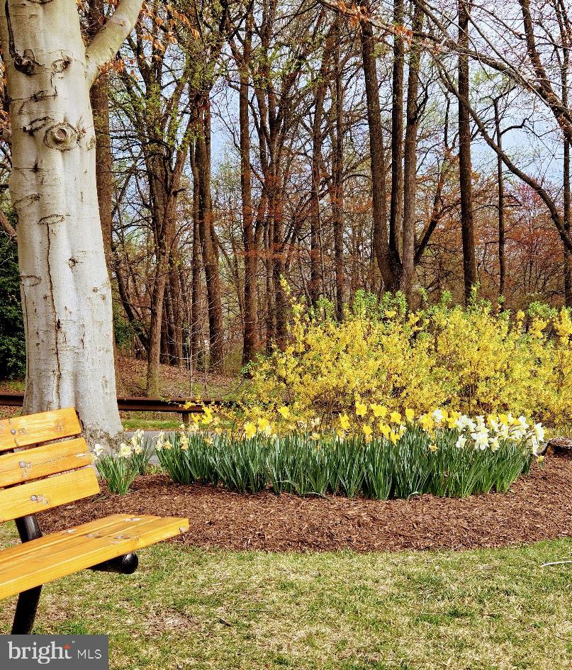 MONTEBELLO - Residential Lease