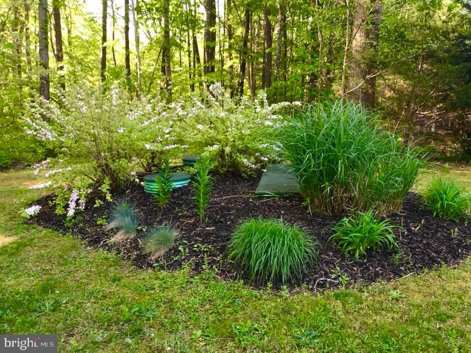 LAKE CAROLINE - Residential