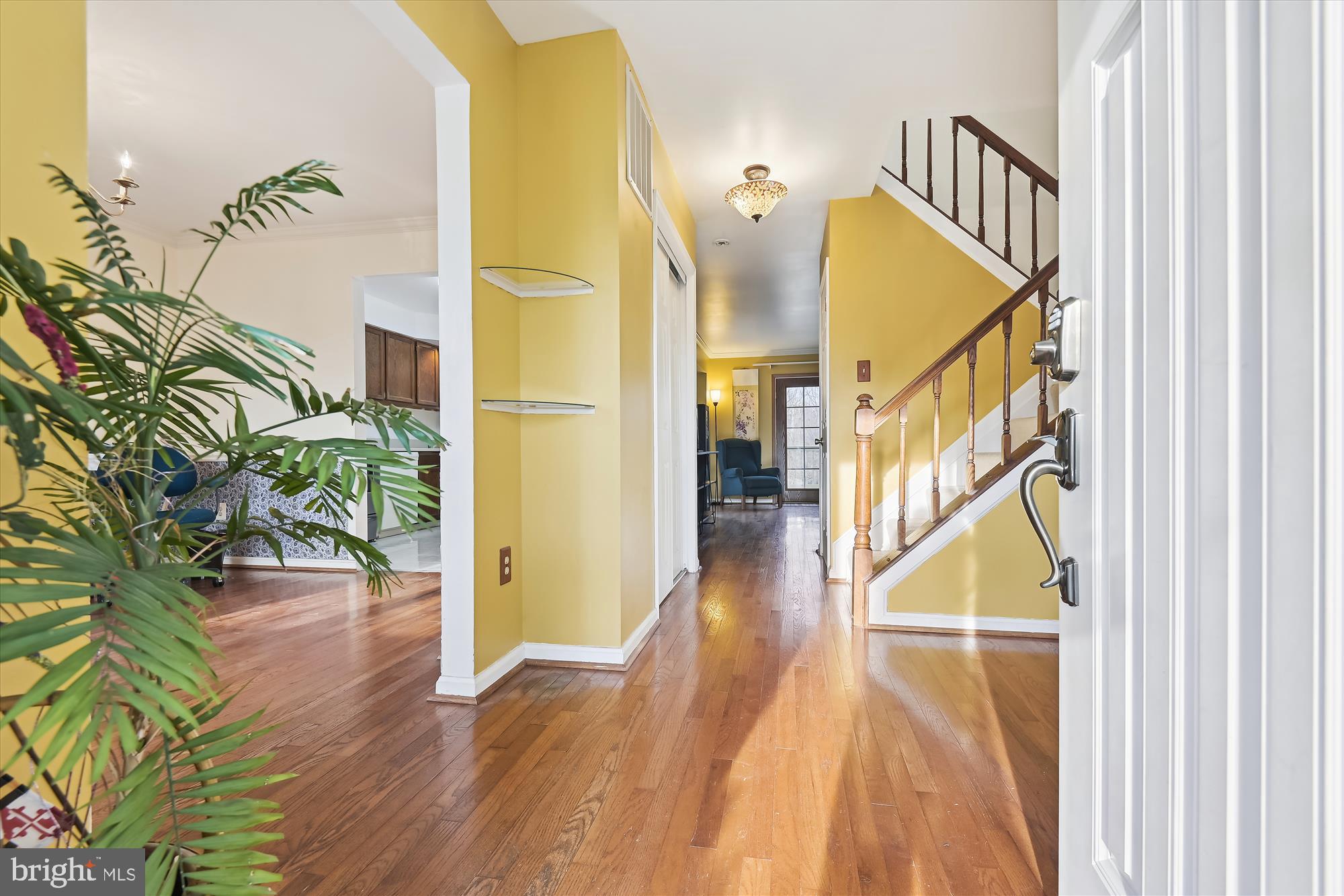 FALCON RIDGE - Residential