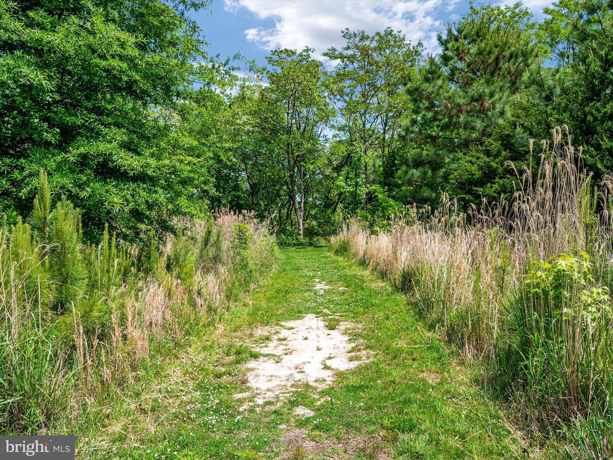 FOUR SEASONS AT KENT ISLAND - Residential