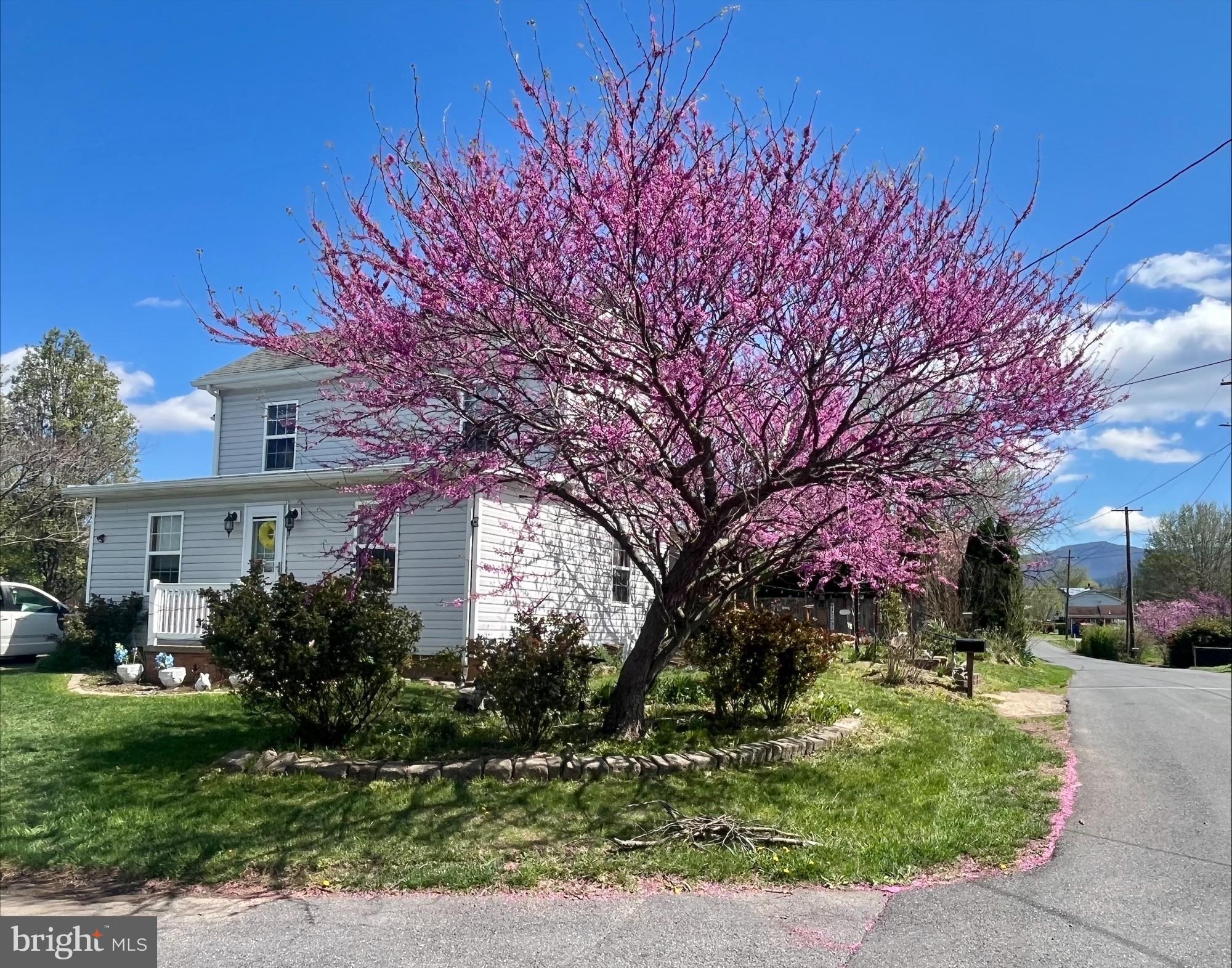 206 WOODLAND AVENUE