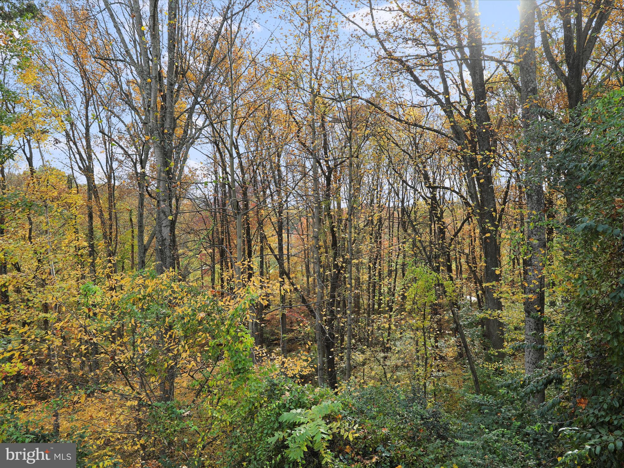 DOUGLAS WOODS - Residential