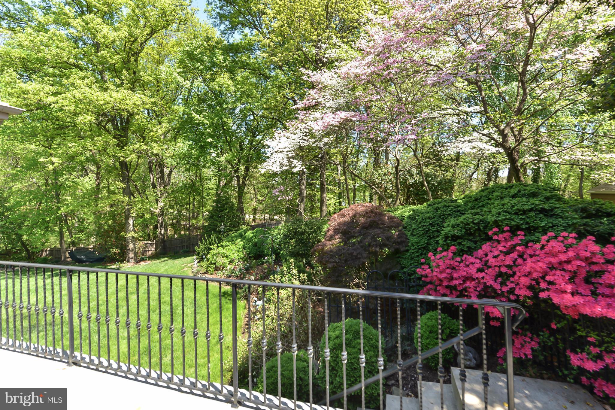 WAYNEWOOD - Residential