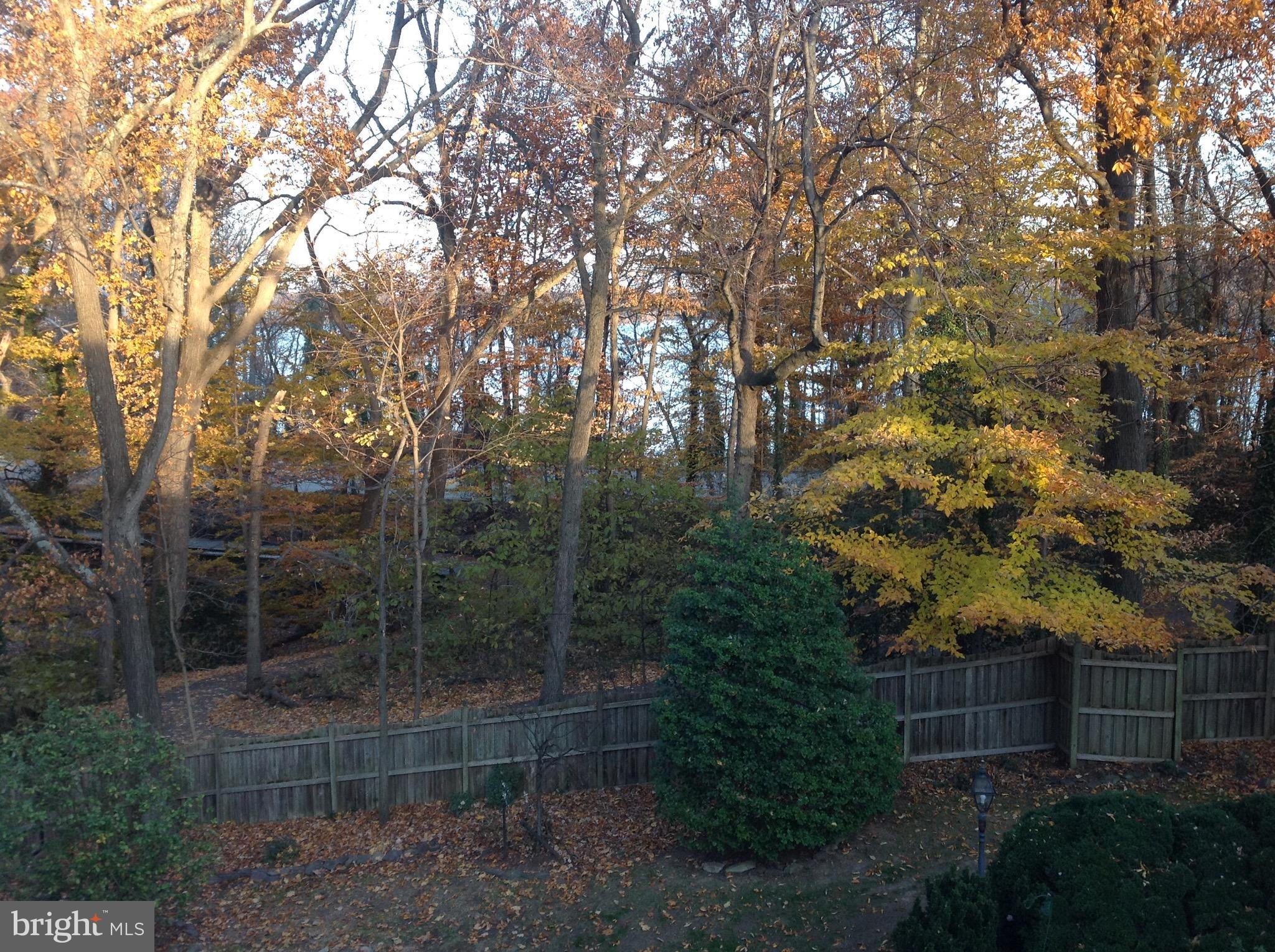 WAYNEWOOD - Residential