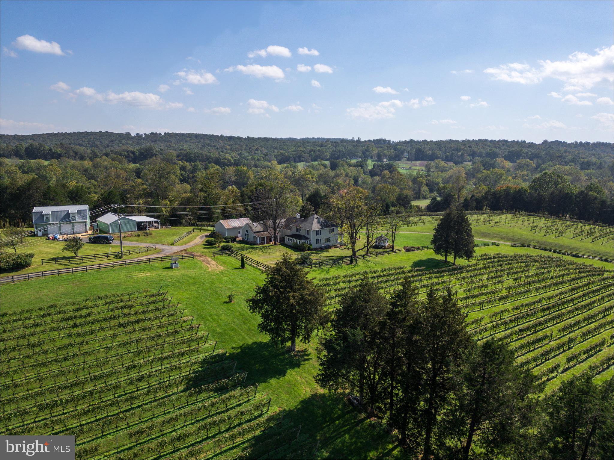 CARTER'S RUN EST - Residential