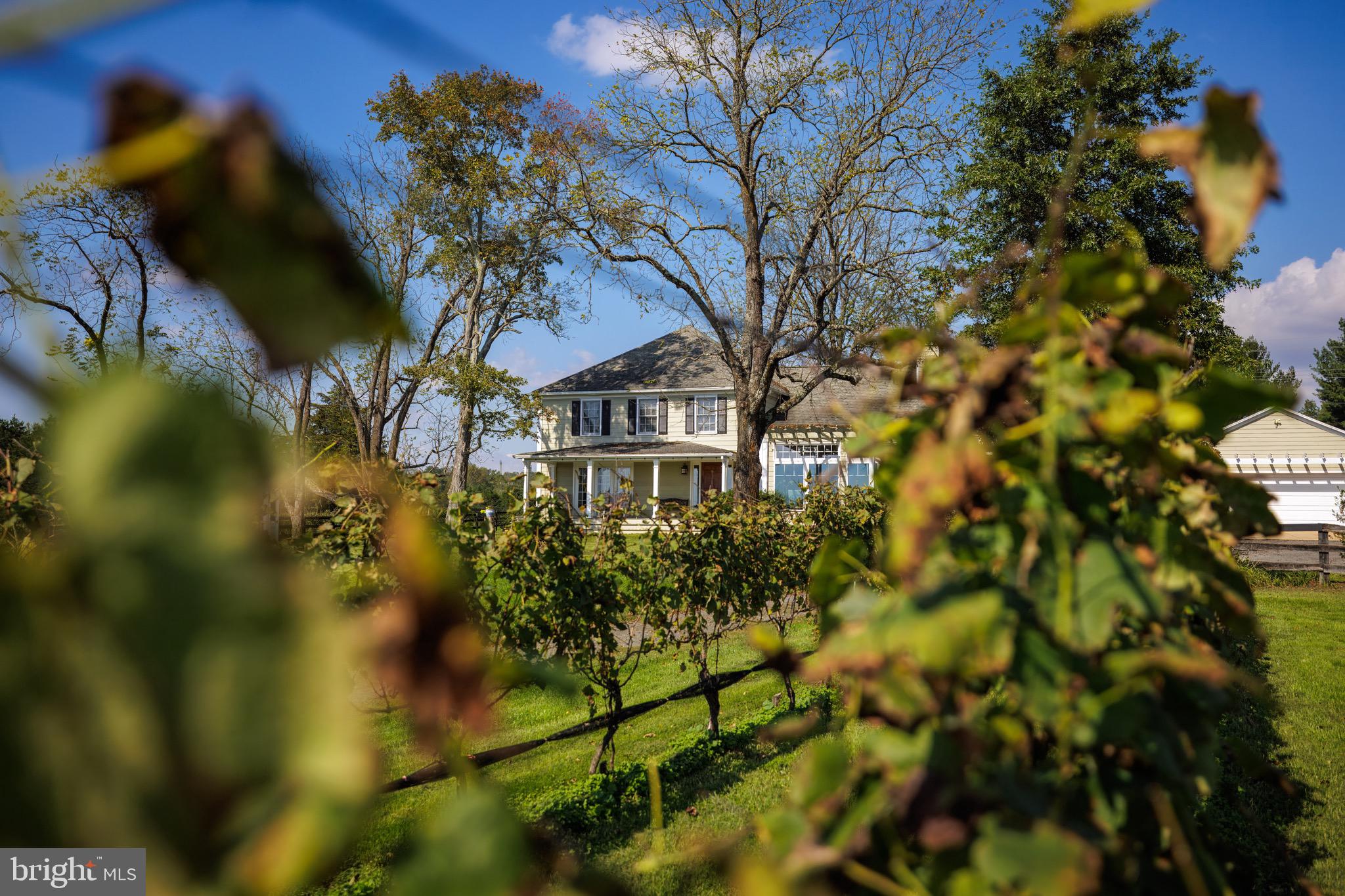 8105 WILLBOYD COURT