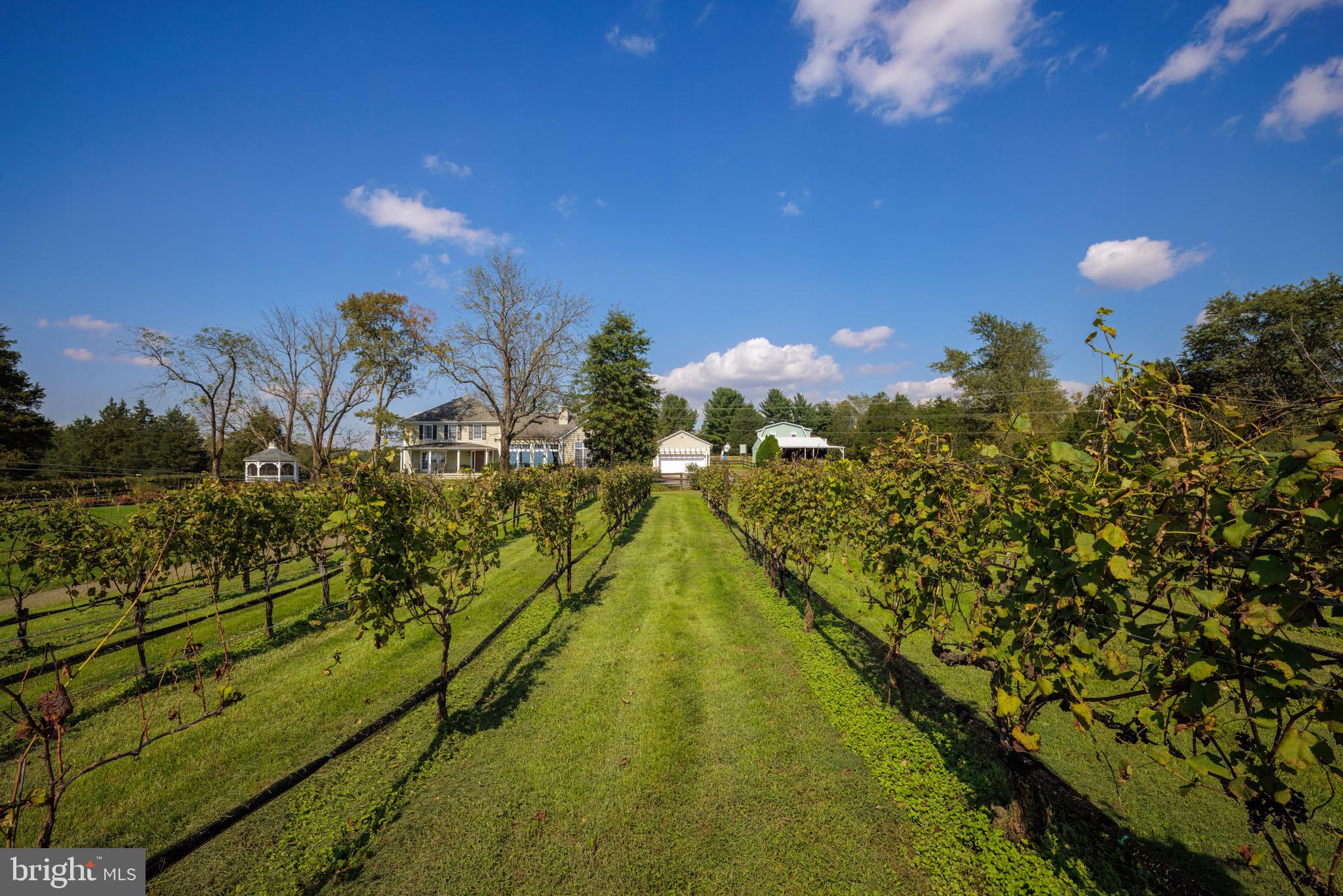 CARTER'S RUN EST - Residential