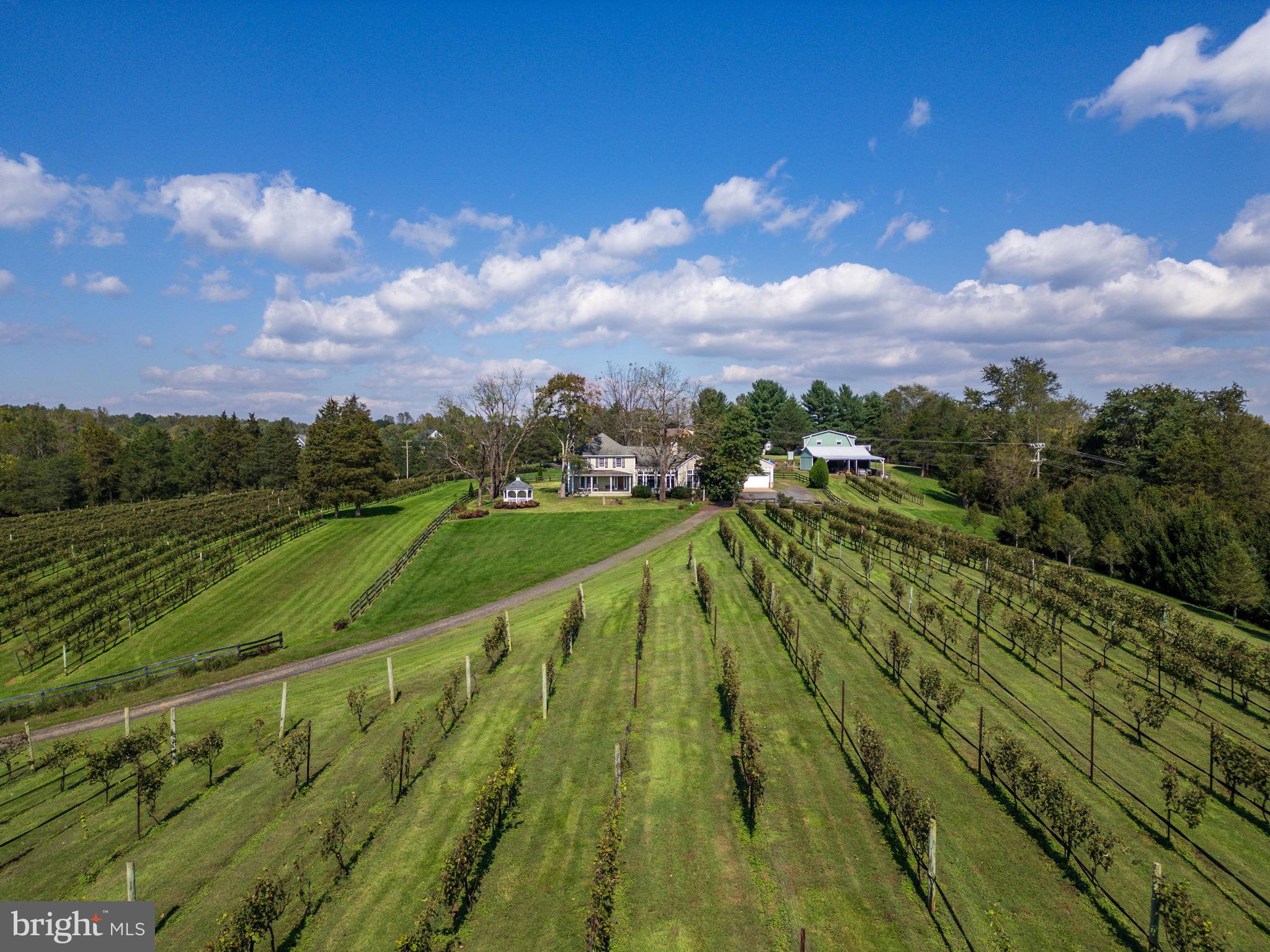 8105 WILLBOYD COURT