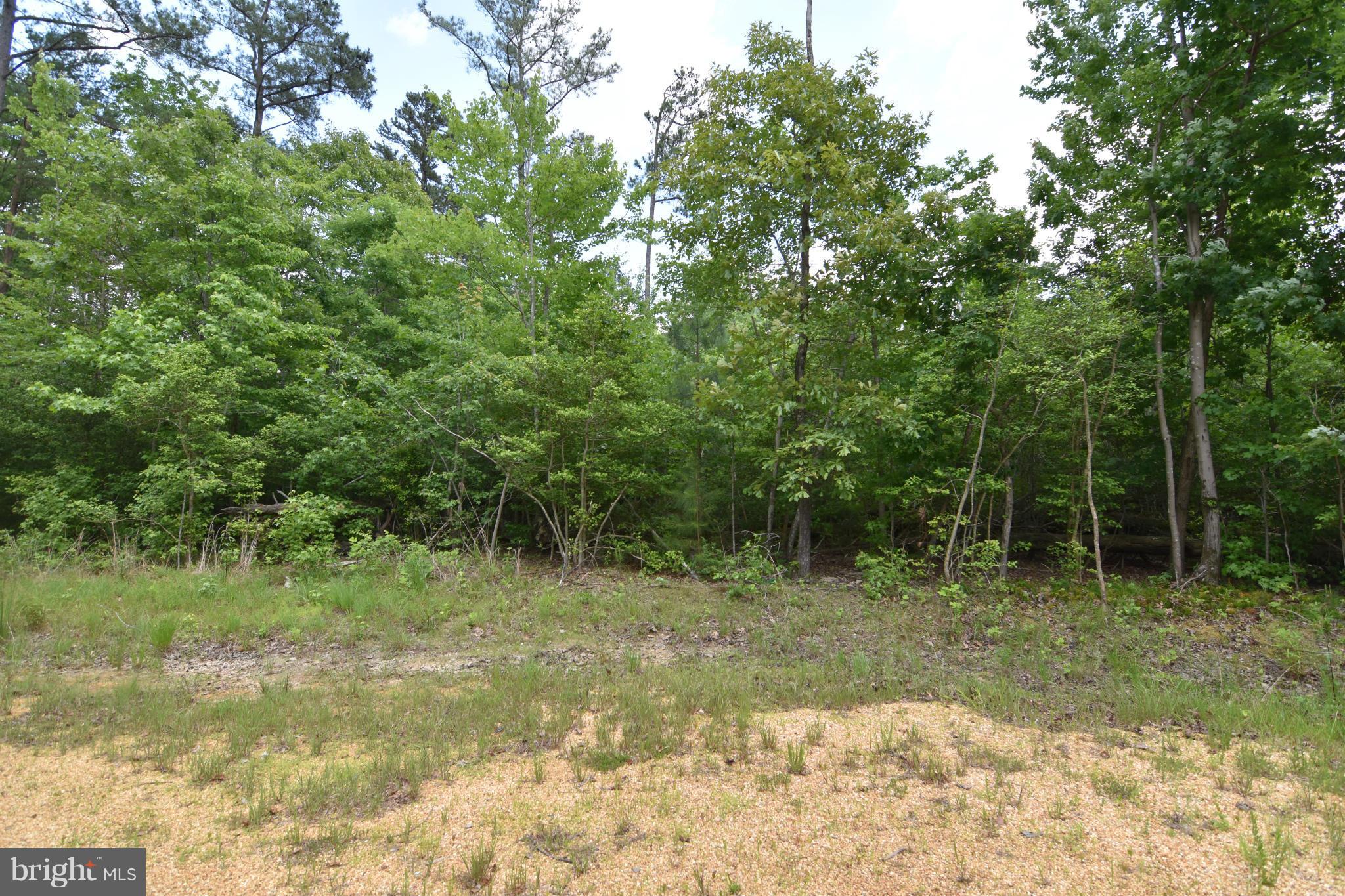 NONE AVAILABLE - Land