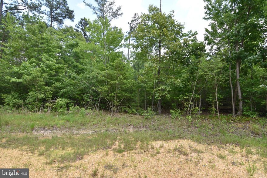 Beautiful 15 acre farmstead with no HOA.  Wooded lot with hardwood trees.  Approved perc and plat uploaded in documents.