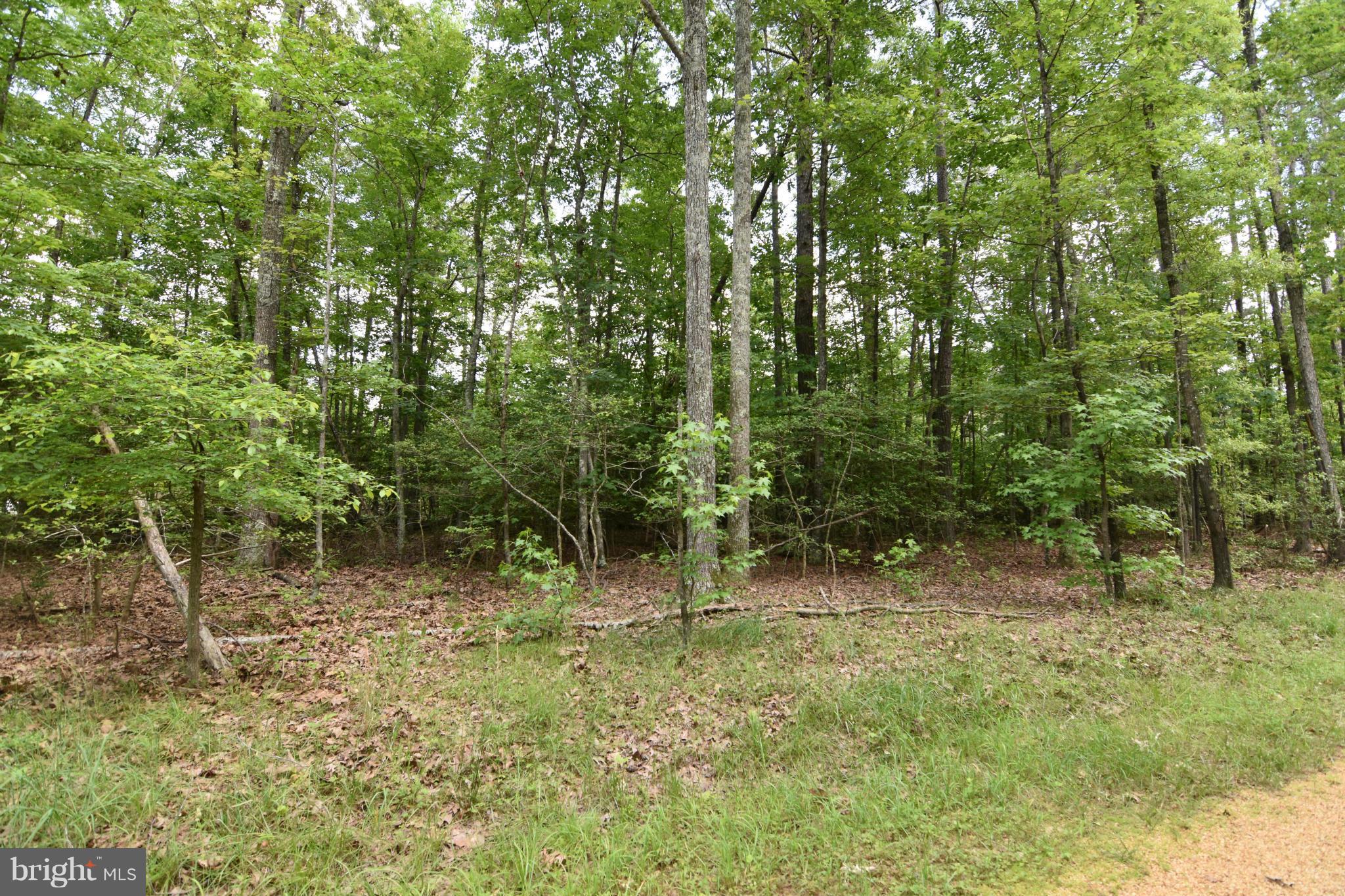 NONE AVAILABLE - Land