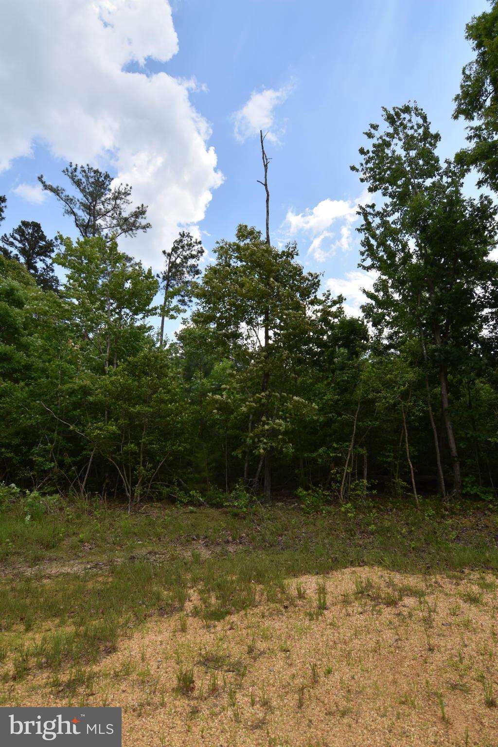 NONE AVAILABLE - Land