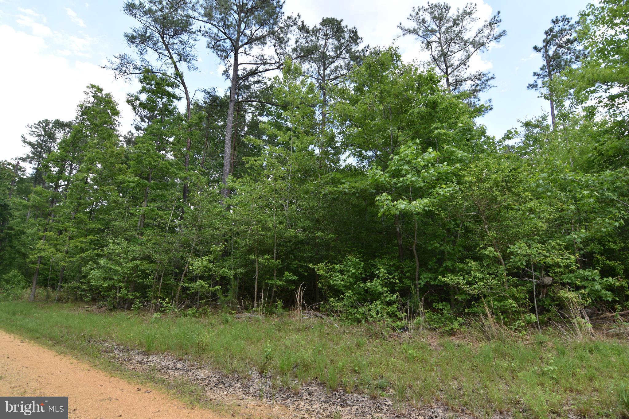 NONE AVAILABLE - Land