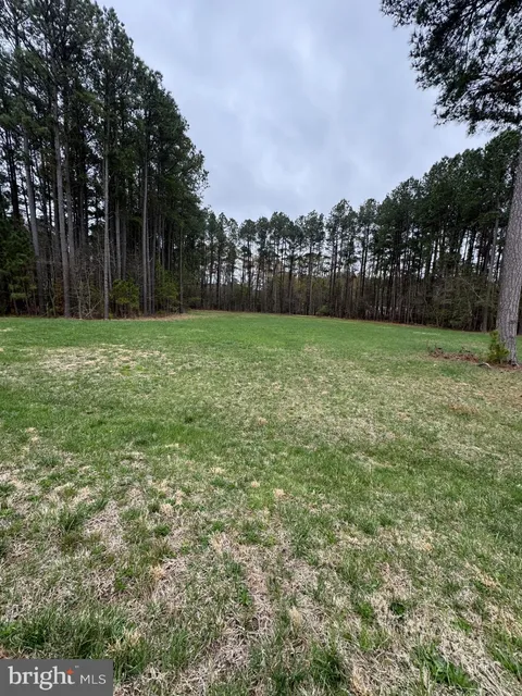 6002 Blue Heron Drive, East New Market, MD MLS: MDDO2009354