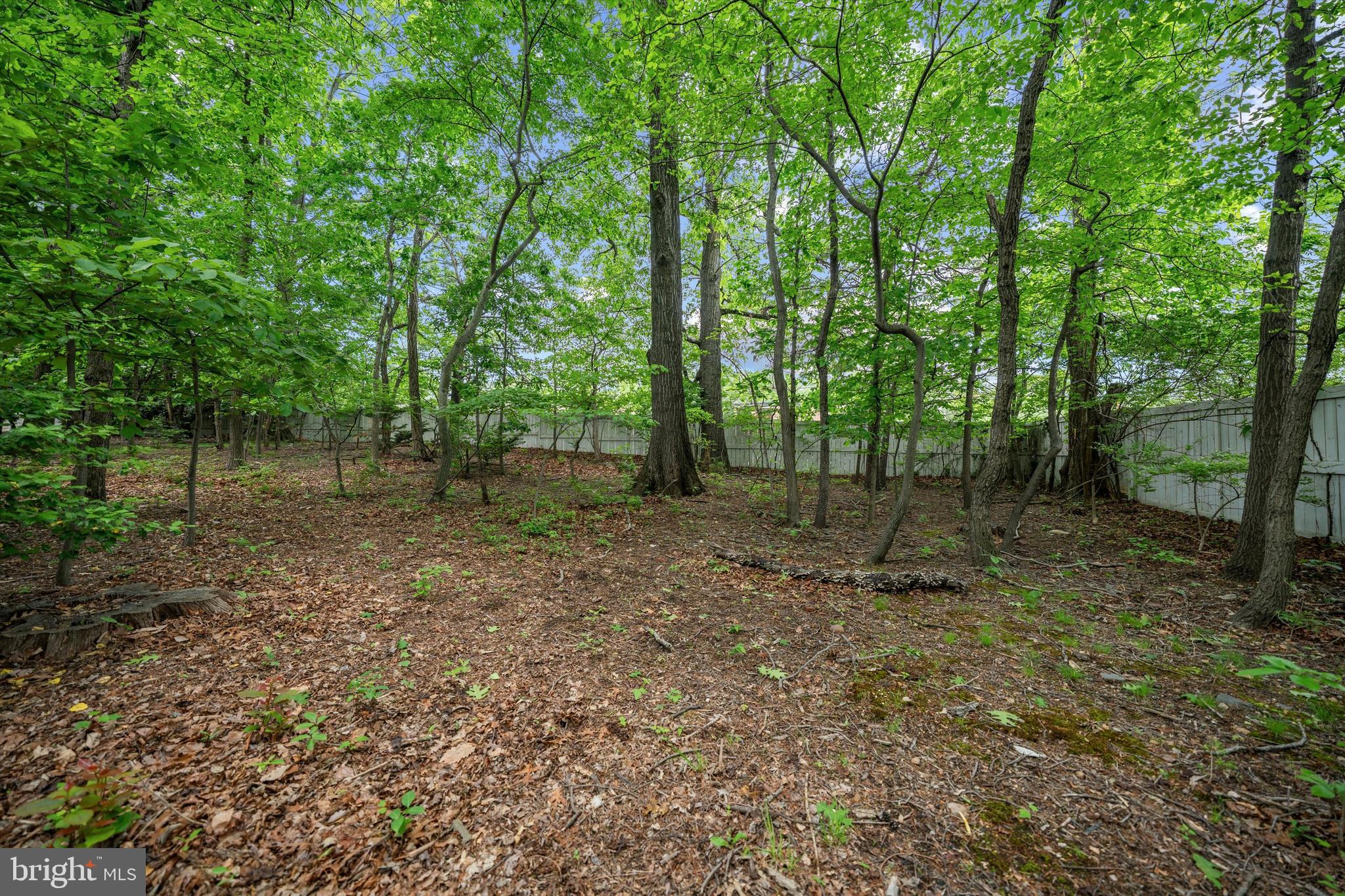 CHATHAM SQUARE - Residential