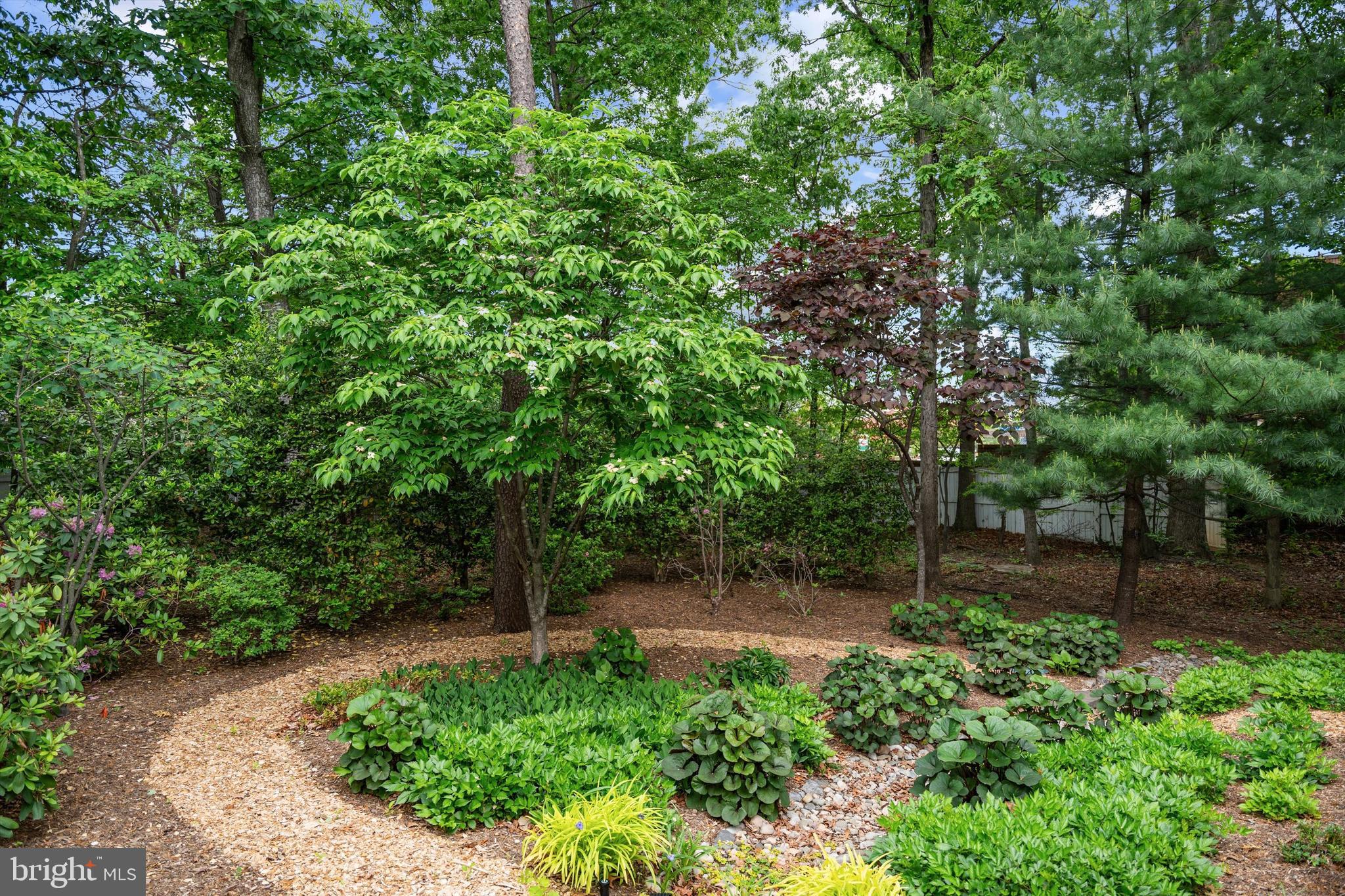 CHATHAM SQUARE - Residential