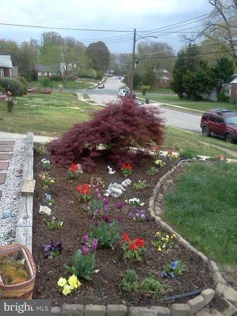 SPRINGFIELD - Residential