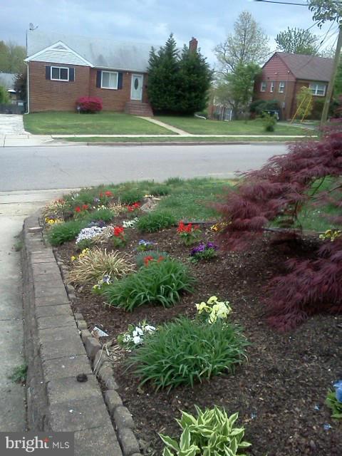 SPRINGFIELD - Residential