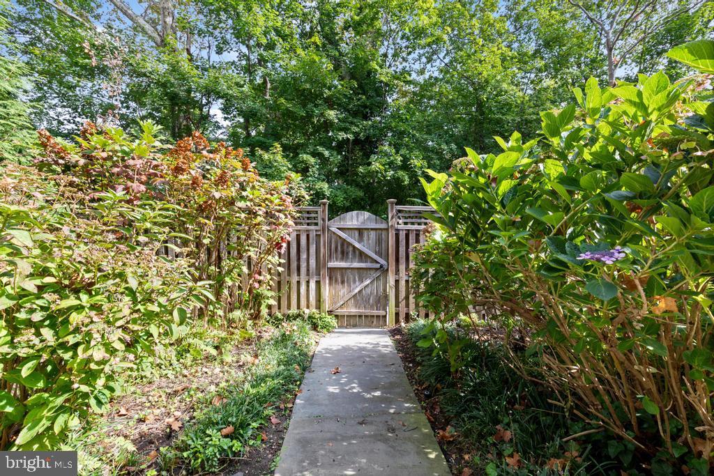 CHESTNUT HILL - Residential