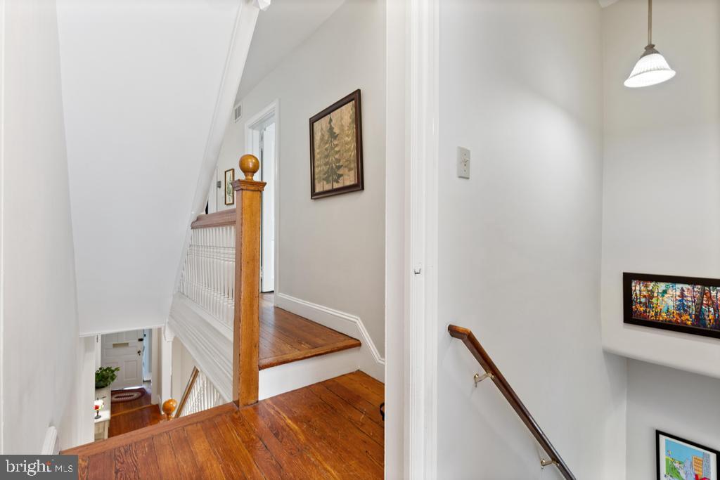 CHESTNUT HILL - Residential